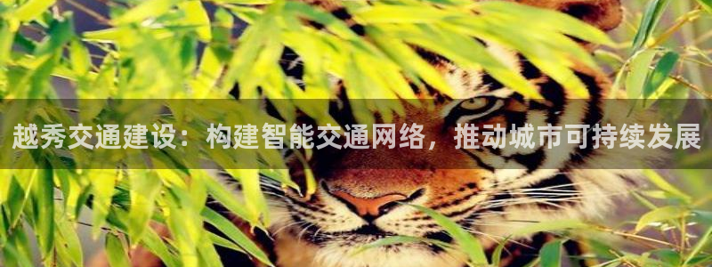 富邦娱乐团购